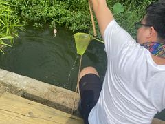 -同銮特种养殖场·龙虾垂钓