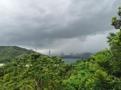 -深圳仙湖植物园