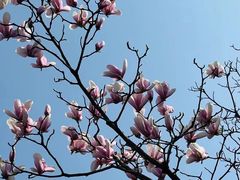 -青岛市江苏路基督教堂