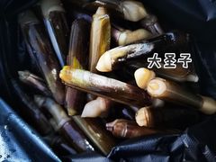 -黄沙水产交易市场