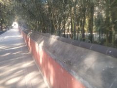 -北京植物园-展览温室