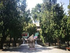-泰山风景名胜区-虎山公园
