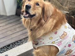 -圣宠动物医院·犬猫专科·影像中心·外科中心