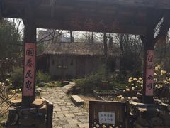 -上海植物园·停车场