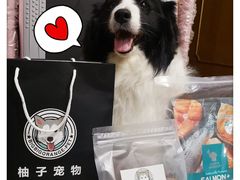 -柚子宠物(伊珊娜调理店)
