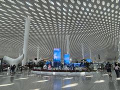 -陈鹏鹏潮汕菜(宝安机场T3航站楼店)