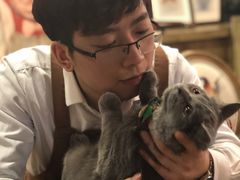 -共舞时光猫咖·狗咖(新街口店)