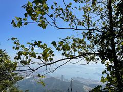 -梧桐山风景名胜区