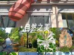 -云溪植物园