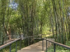 -云溪植物园