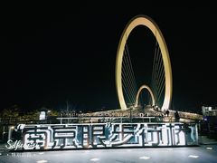 景点-南京眼步行桥