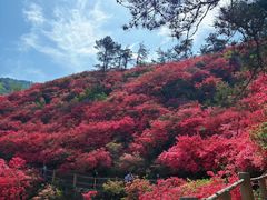 -木兰云雾山