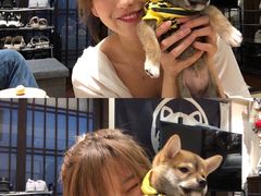 -逗柴咖啡屋·狗咖猫咖宠物桌游