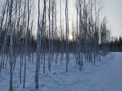 -北极村旅游风景区