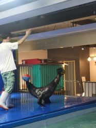 -酷嗒动物文化乐园(cutezoo西溪乐天城店)