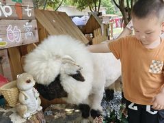 -HERRE·FARM 赫尔露营农场·团建聚会包场