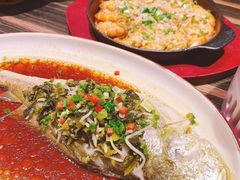 -江太极江浙菜(马桥万达广场店)