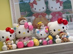 -安吉Hello Kitty乐园