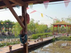 -同銮特种养殖场·龙虾垂钓