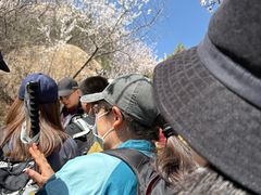 -北京凤凰岭