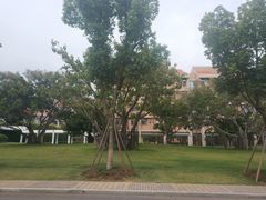 -厦门国家会计学院