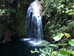 iphone_upload_pic-鼎湖山风景区