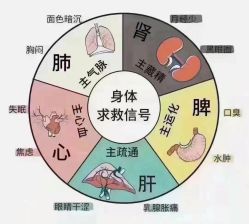 -天姿美容·美体科技SPA·艾姿美店