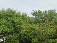 -苏州环秀晓筑养生度假村