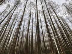 -上海怡沁园度假酒店