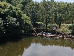 -九龙潭景区