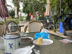 -水岸居湖景农家乐·阳澄湖大闸蟹