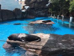 -海合安成都极地海洋公园