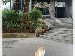 景观位-山顶顶概念四川菜(黄埔大道店)
