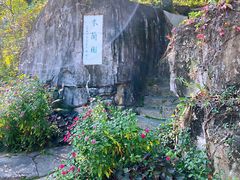 -深圳仙湖植物园