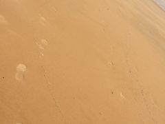 -青岛银沙滩