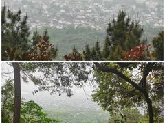 -雨花胜境