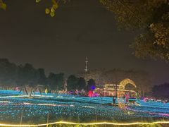 -光明农场大观园