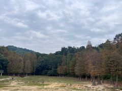 -广州市白云山风景名胜区
