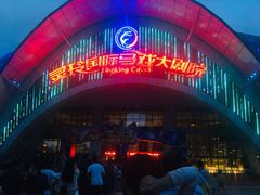 -灵玲国际马戏城