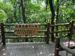 -天目湖山水园
