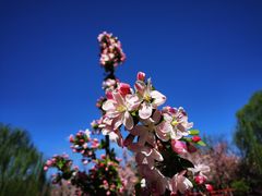 -元大都城垣遗址公园