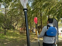 -上海海湾国家森林公园