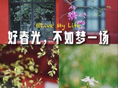 -四川大学(望江校区)