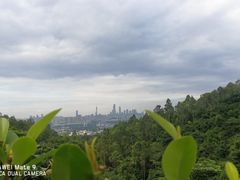 -火炉山森林公园