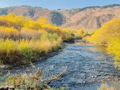 -塞罕坝国家级自然保护区