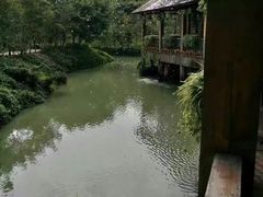 -丹樱生态园
