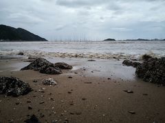 -北岐滩涂