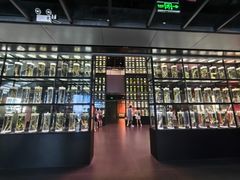 -广东中医药博物馆