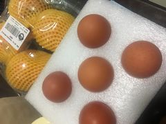 -新鲜岛