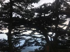 -罗田薄刀峰风景区